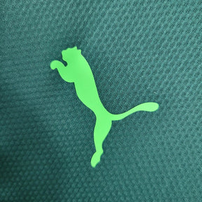 Camisa do Palmeiras II 20/21