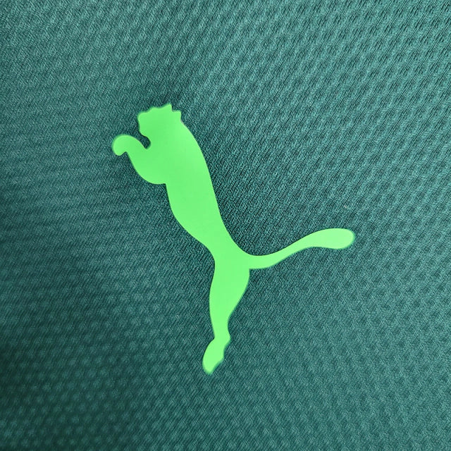 Camisa do Palmeiras II 20/21