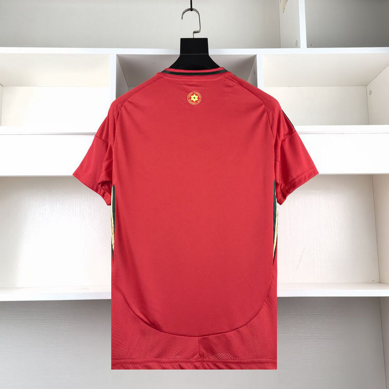 Camisa Seleção País de Gales - 24/25