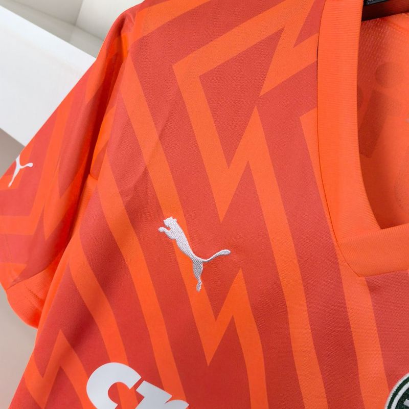 Camisa Palmeiras 24/25 - Goleiro