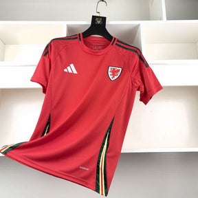 Camisa Seleção País de Gales - 24/25