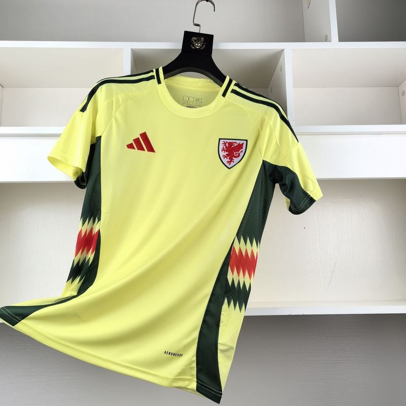 Camisa Seleção País de Gales II - 24/25