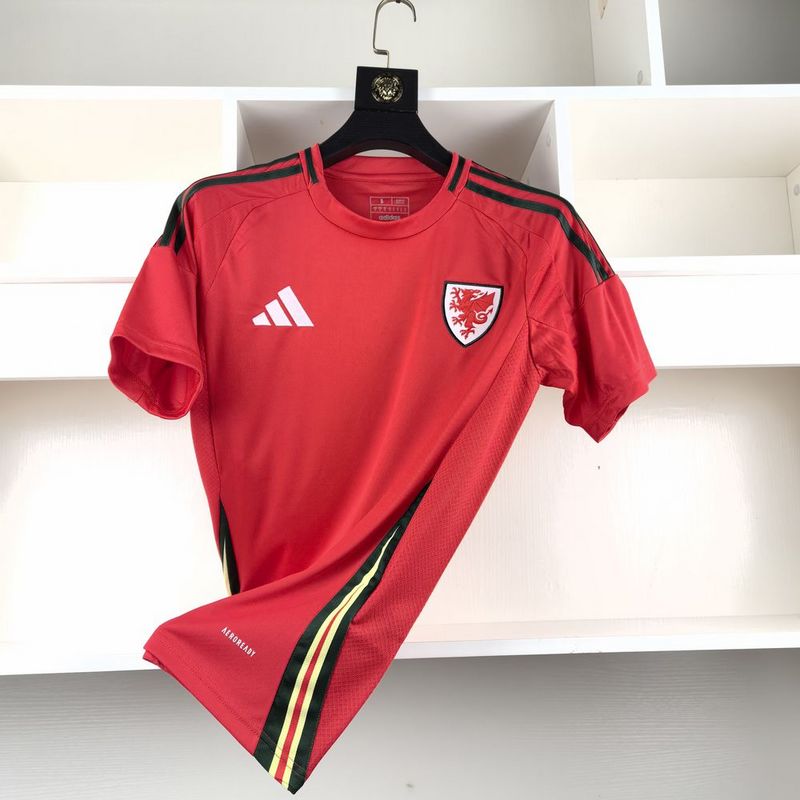 Camisa Seleção País de Gales - 24/25