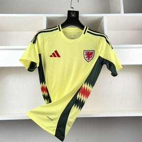 Camisa Seleção País de Gales II - 24/25