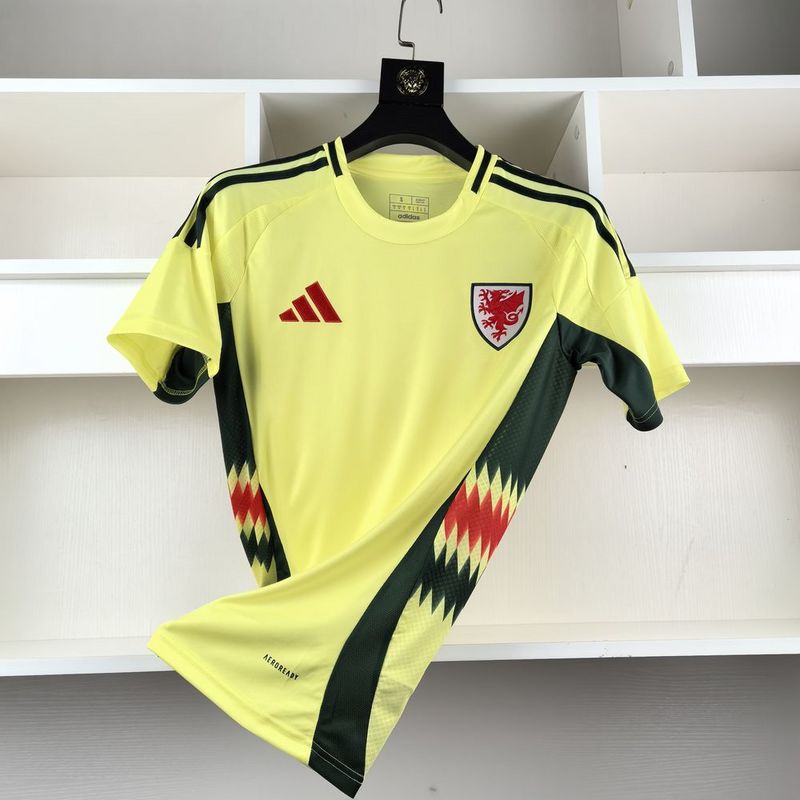 Camisa Seleção País de Gales II - 24/25