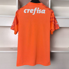 Camisa Palmeiras 24/25 - Goleiro