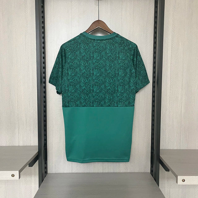 Camisa do Fluminense 23/24 Verde