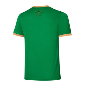 Camisa Palmeiras Edição Comemorativa 70 Anos  Verde