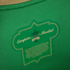 Camisa Palmeiras Edição Comemorativa 70 Anos  Verde