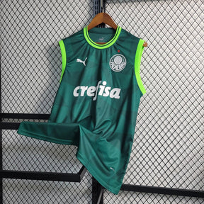 Regata do Palmeiras 23/24 Home