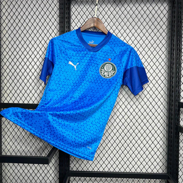 Camisa do Palmeiras 24/25 Treino