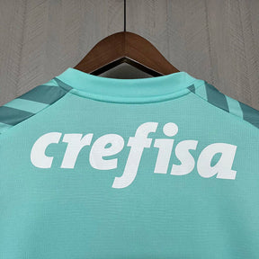 Camisa do Palmeiras Goleiro 24/25 Verde