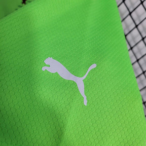 Camisa do Palmeiras Goleiro 23/24 Verde Florecente