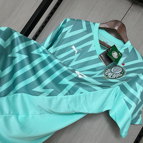 Camisa do Palmeiras Goleiro 24/25 Verde