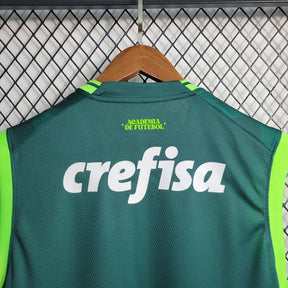 Regata do Palmeiras 23/24 Home