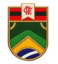 Patch Brasil Flamengo