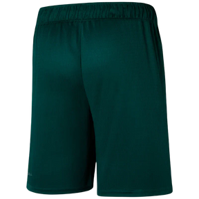 Short Palmeiras 2023/24 Home