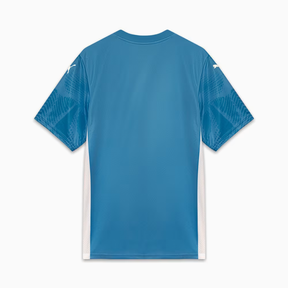 Camisa do Palmeiras Goleiro 2026